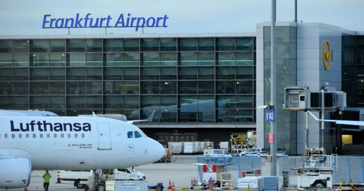 German airport worker dies of malaria after 'mosquito arrive