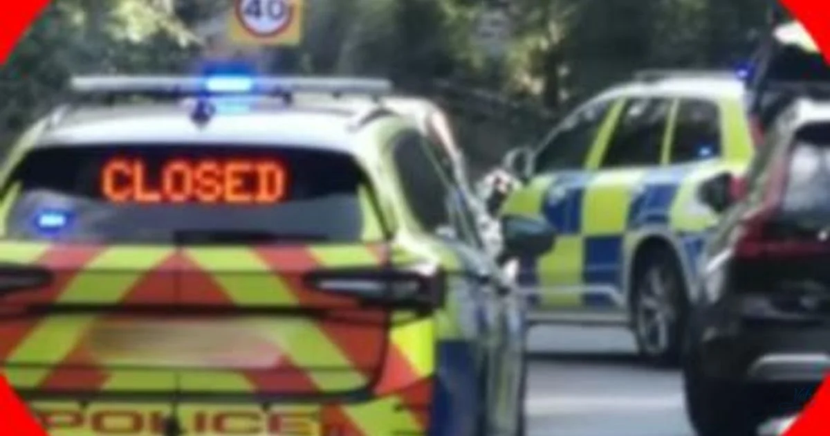 Man dies in crash after police pursuit
