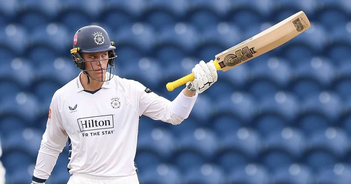 Toby Albert Fifty Can't Drive Hampshire Past Glamorgan